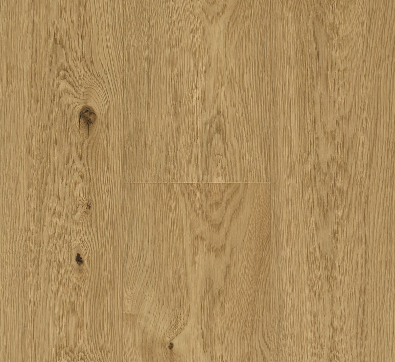 Close-up of Parador Oak Soft Texture showing detailed wood grain and natural oil finish.
