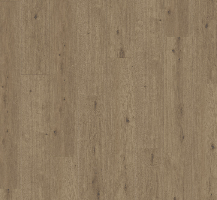 Oak Atmosphere umber Modern Wide plank Authentic texture