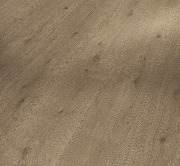 Oak Atmosphere umber Modern Wide plank Authentic texture