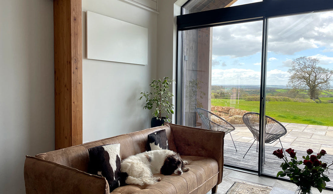 White Infrared heating panel mounted on a wall in livingroom with dog on a couch.