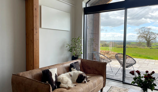 White Infrared heating panel mounted on a wall in livingroom with dog on a couch.