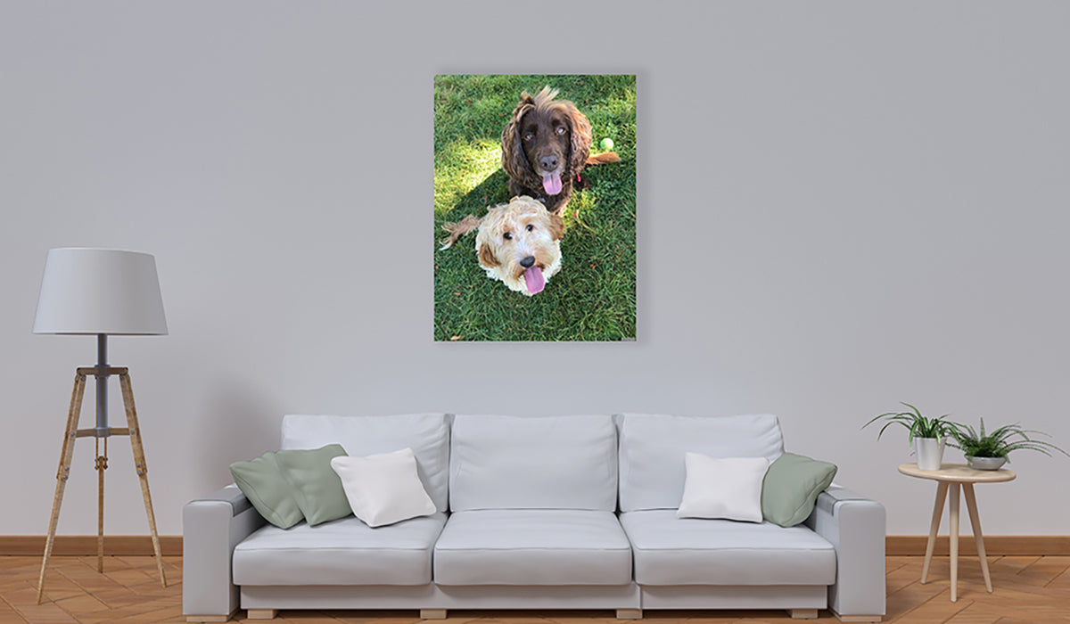 Pet-Photo-Home-Art