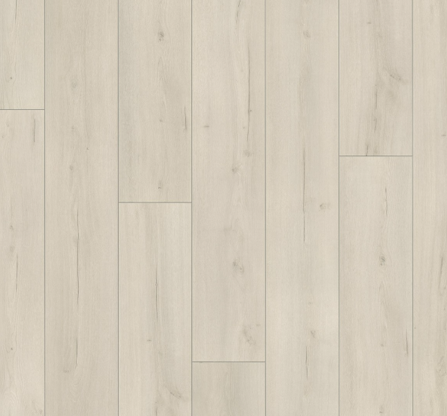 Trendtime 6 large plank laminate in a light colour, showing the planks