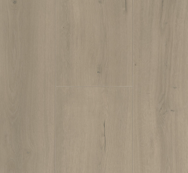Extra-long Parador Oak Loft Grey laminate flooring Oak loft grey colour (light brown)